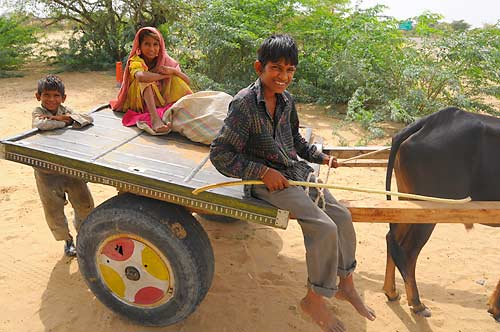 deshnok Deshnik, lipiec 2008