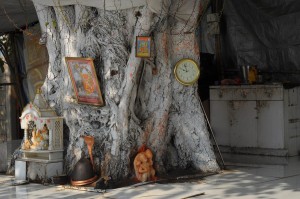 Przydrzewna kapliczka czy cos