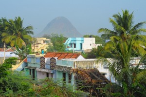 Domki i gorka (Western Ghats)