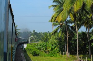 Pociag z zewnatrz i palmy