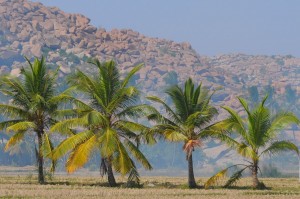 Krajobrazik na dowidzenia