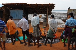 Panie wlasnie przywiozly rybki z miasta